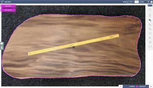 Area Calculation Results